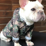 Pet trendy raincoat - MAXIME