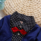 Children's Suit Bow tie Sweater Small Trousers - MAXIME