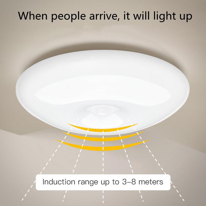 Maxime Human Induction Ceiling Lamp Infrared Garage Lamp Cloakroom Balcony Lamp - MAXIME