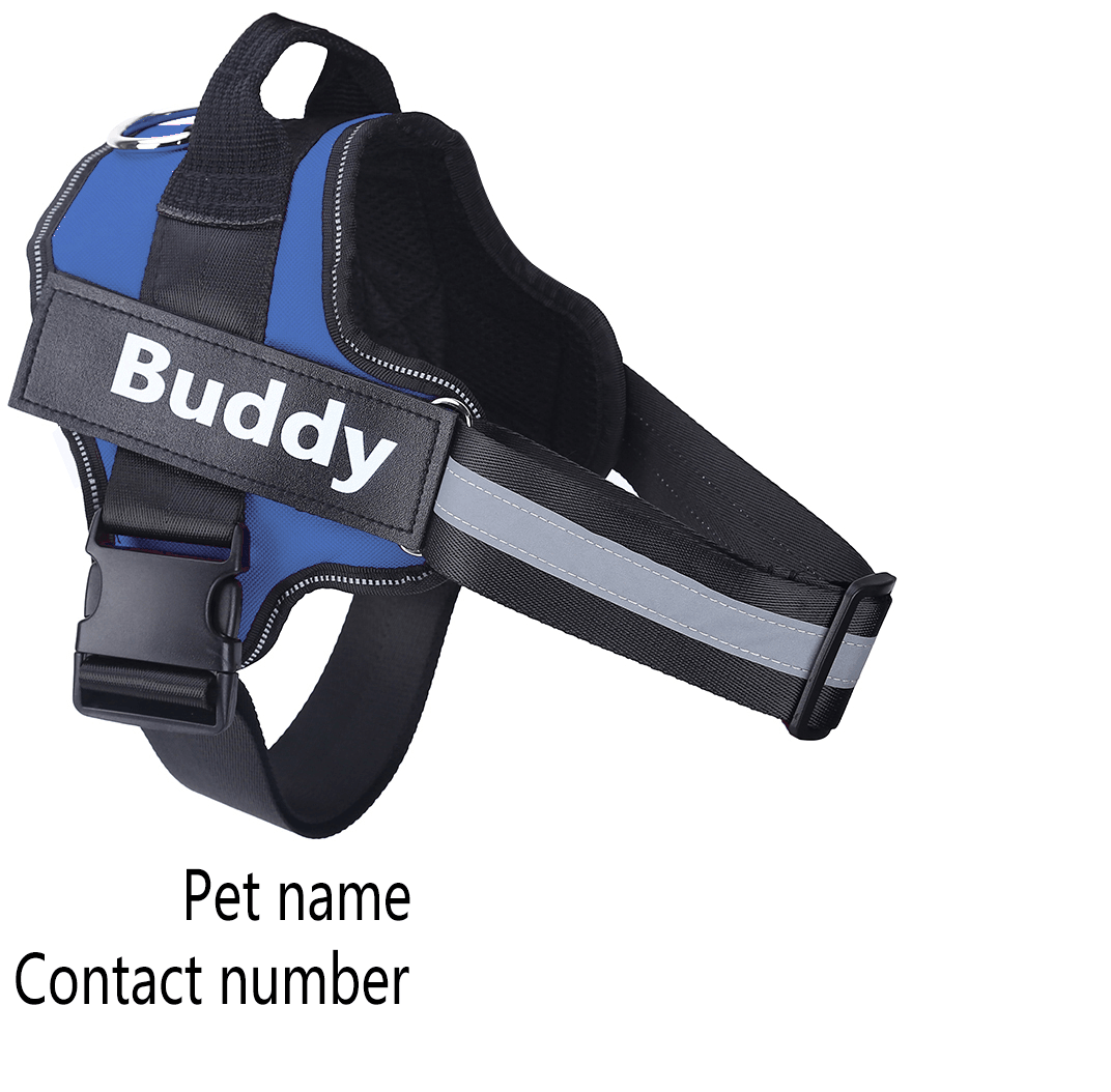 Adjustable Pet Harness Vest For Small Large Dog Custom Patch Pet Supplies - MAXIME