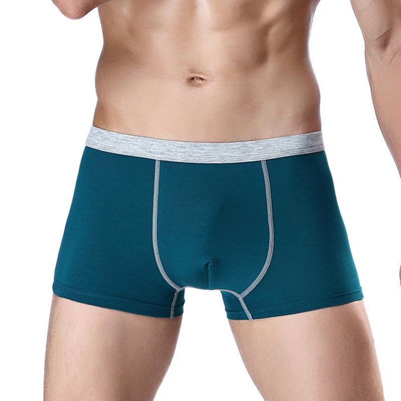 Men's underwear men's boxer briefs - MAXIME