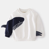 Boys' Casual Sweaters - MAXIME