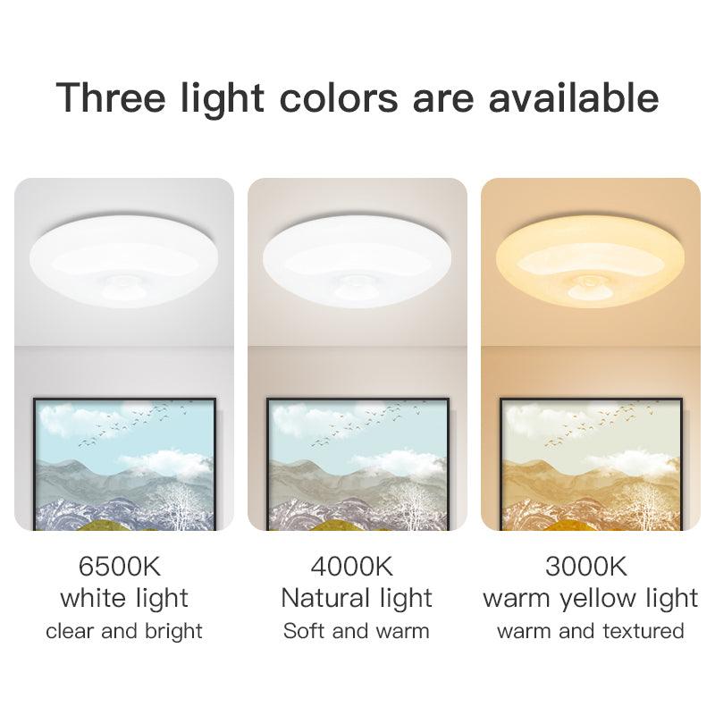 Maxime Human Induction Ceiling Lamp Infrared Garage Lamp Cloakroom Balcony Lamp - MAXIME