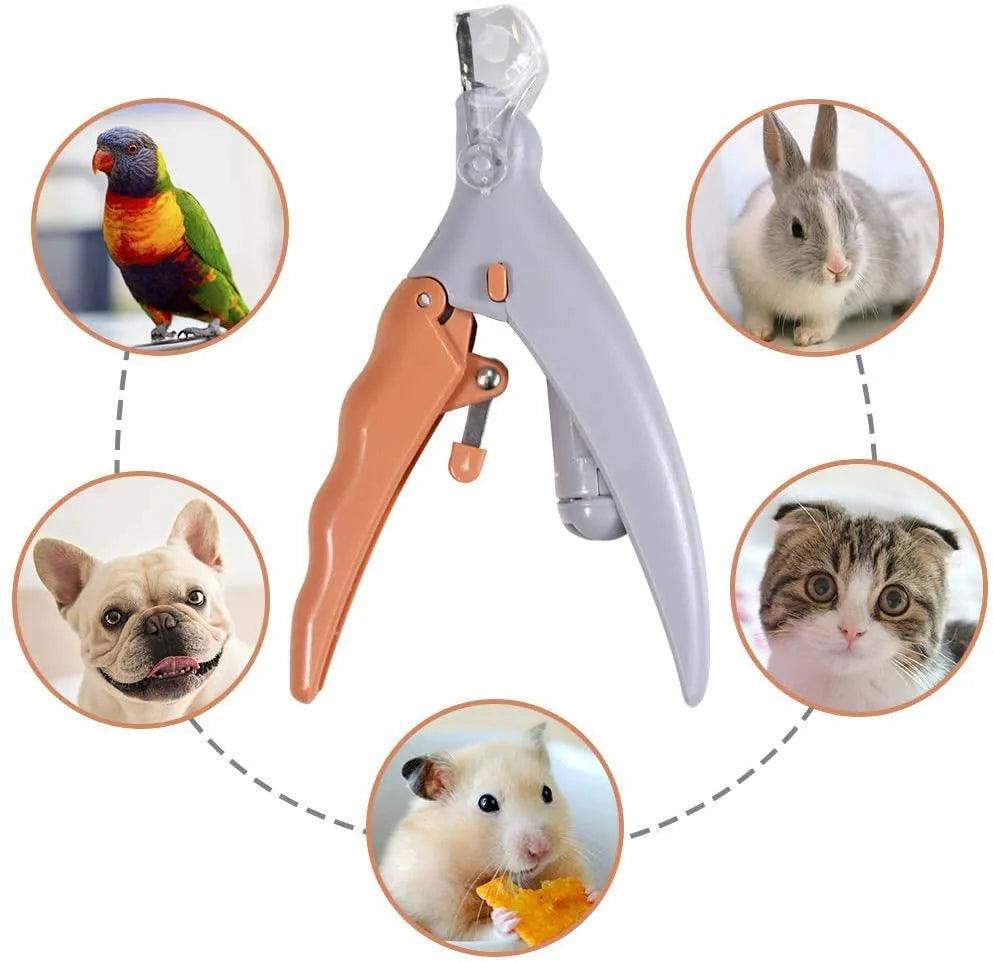 Professional Pet Nail Clipper Scissors With LED Light Cat Dog Nail Clippers - MAXIME