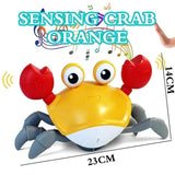 Crawling Crab Baby Toys for Kids With Music and LED Light Bathroom Playing with Water Toy - MAXIME