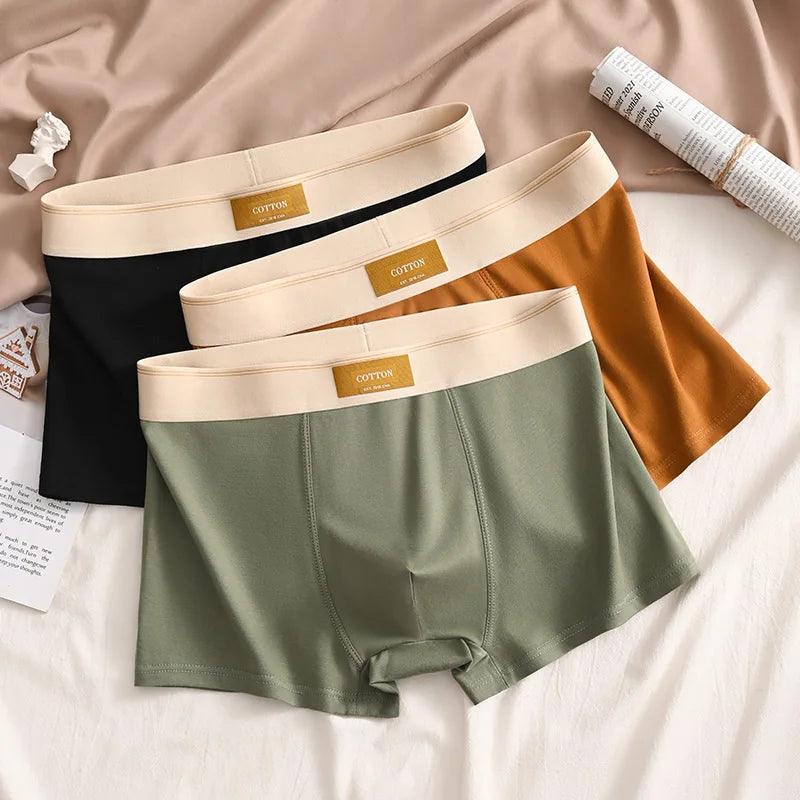 3PCS Luxury Men Underpants - MAXIME