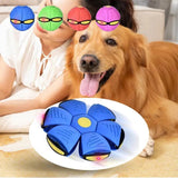 Flying Saucer Ball Magic Outdoor Sports Dog Training Equipment Dog's Play Flying DISC - MAXIME