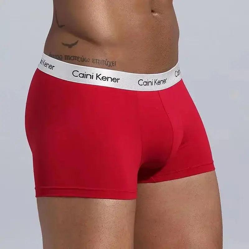 5Pcs/Men's Shorts Brand Underwear - MAXIME