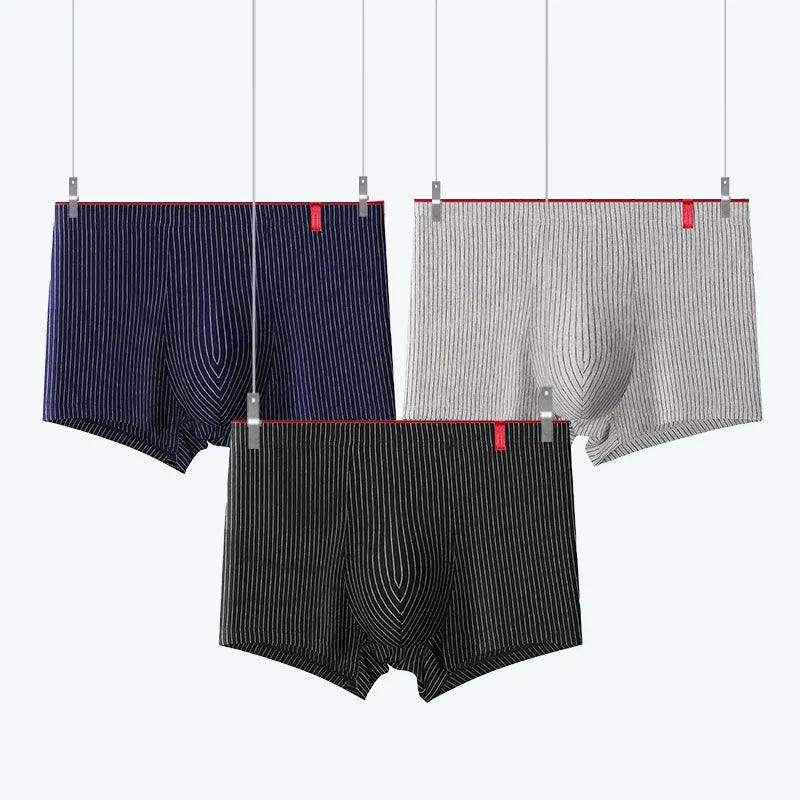 4 Pcs Boxer Men Sexy Stripe Panties - MAXIME