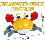 Crawling Crab Baby Toys for Kids With Music and LED Light Bathroom Playing with Water Toy - MAXIME