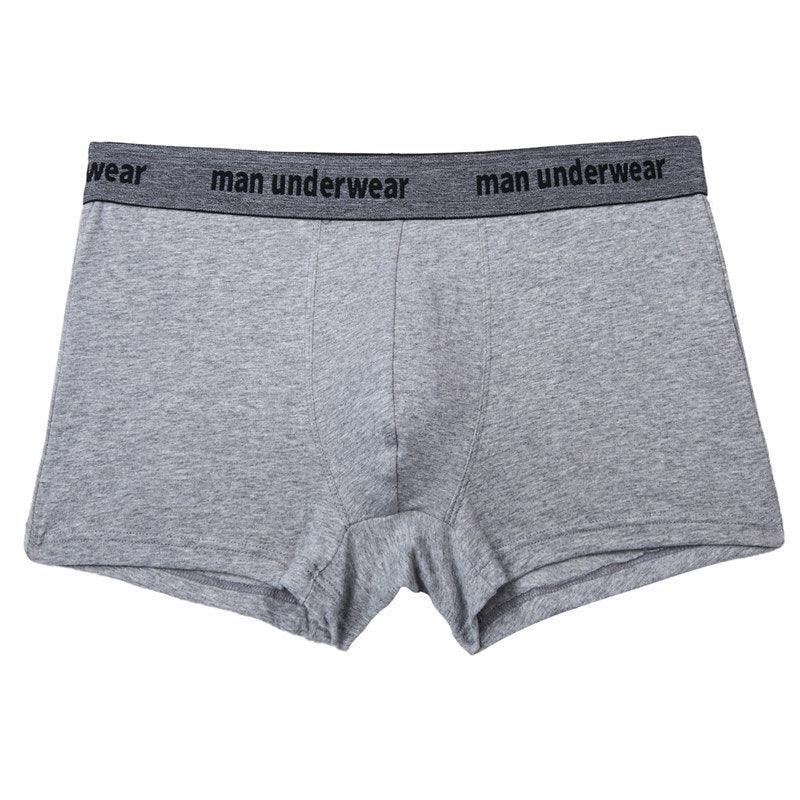 Underwear Men's Boxer Briefs - MAXIME