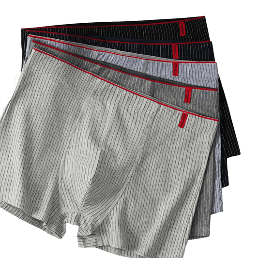 4 Pcs Boxer Men Sexy Stripe Panties - MAXIME