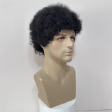 Human Wigs Short Curly Hair Afro Men And Women - MAXIME