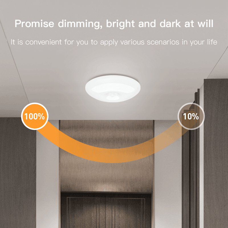 Maxime Human Induction Ceiling Lamp Infrared Garage Lamp Cloakroom Balcony Lamp - MAXIME